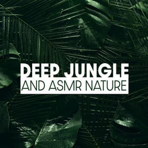 Deep Jungle and ASMR Nature: Relaxation Music and Deep Breathing, Sons d'oiseaux, Thunder Sounds in the Tropical Island - Relaxing Nature Sounds Collection