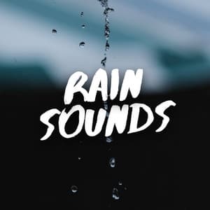 Rain Sounds - Sounds Of Nature