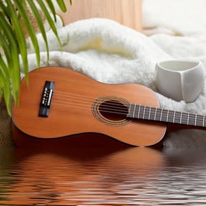 Spa Serenity: Guitar Music for Massage - Acoustic Guitar Tribute Players