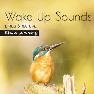 Wake Up Sounds - Lisa Enney