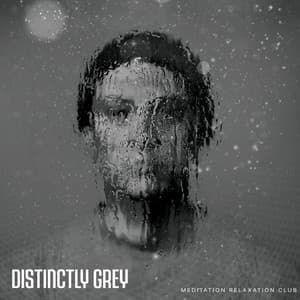 Distinctly Grey - Meditation Relaxation Club