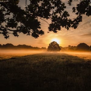 September 50 - 50 Summer Rhythms - Entspannungsmusik Oase