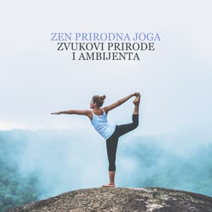 Zen prirodna joga: Zvukovi prirode i ambijenta, Opuštajuća glazba za opuštanje, Kundalini joga - In Yoga Academy