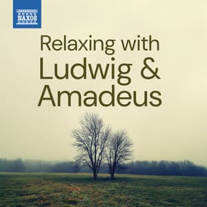 Relaxing With Ludwig & Amadeus - Ludwig van Beethoven