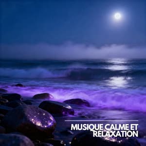 Ombres Lentes du Monde Silencieux - Musique Calme et Relaxation