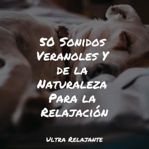 50 Sonidos Veranoles Y de la Naturaleza Para la Relajación - Yoga Para Ninos