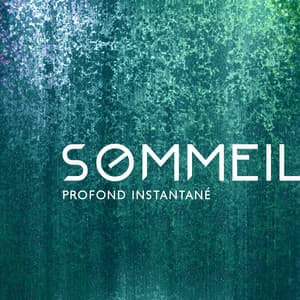Sommeil profond instantané: Sons d'eau pour soigner l'insomnie - Zone de la musique zen