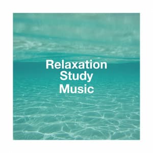 Relaxation Study Music - Sounds of Nature White Noise for Mindfulness, Meditation and Relaxation