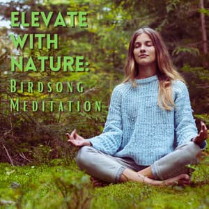 Elevate with Nature: Birdsong Meditation - Sounds Of The Earth