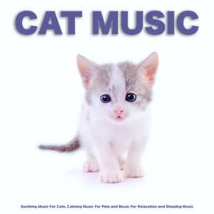 Cat Music: Soothing Music For Cats, Calming Music For Pets and Music For Relaxation and Sleeping Music - Cat Music
