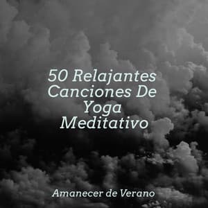 50 Relajantes Canciones De Yoga Meditativo - Dulces Sueños