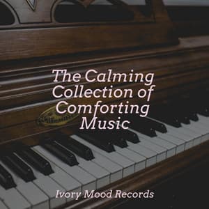 The Calming Collection of Comforting Music - Ivory Mood
