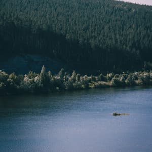 Cosy White Sleep Sough - Sleepy Sounds