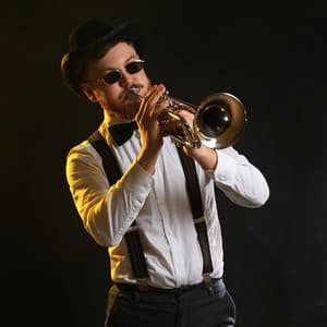 Serene Orchestra Melodies for Cat Comfort - Charles Anderson