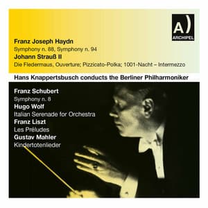 Haydn, Strauss II & Others: Orchestral Works - Berliner Philharmoniker