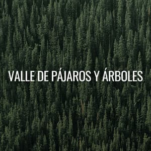Valle De Pájaros Y Árboles - Sonidos De Pajaros
