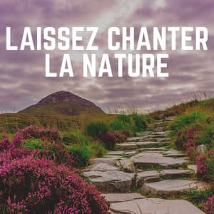 Laissez Chanter La Nature - Sons de la nature