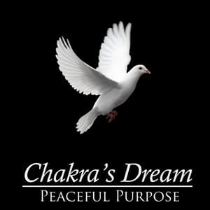 Peaceful Purpose - Chakra's Dream