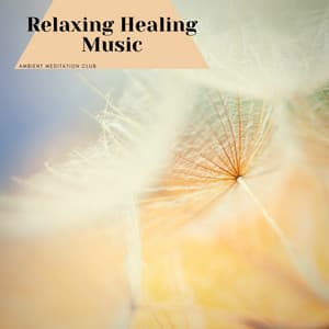 Relaxing Healing Music for Mental Health - Ambient Meditation Club