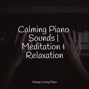 50 Powerful Tracks for Relaxation - Piano Time