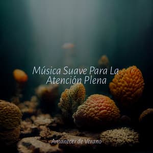 Música Suave Para La Atención Plena - Musica para Dormir 101