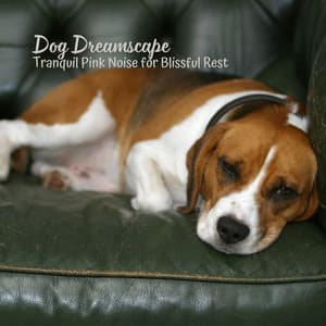 Dog Dreamscape: Tranquil Pink Noise for Blissful Rest - Soporific Pink Noise