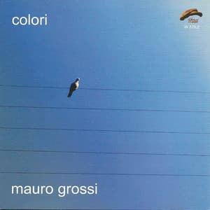 Colori - Mauro Grossi