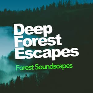 Deep Forest Escapes - Forest Soundscapes