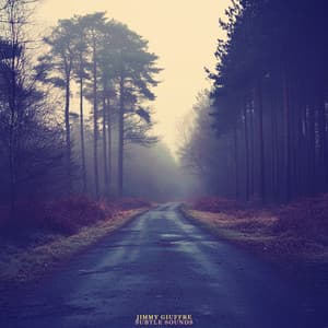 Subtle Sounds - Jimmy Giuffre