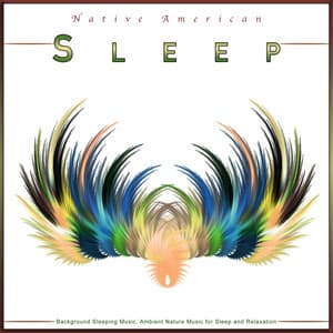 Native American Sleep: Background Sleeping Music, Ambient Nature Music for Sleep and Relaxation - Native American Flute