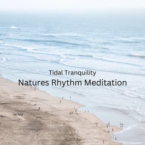 Tidal Tranquility: Natures Rhythm Meditation - Healing Frequencies