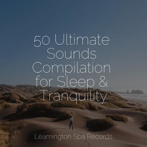 50 Ultimate Sounds Compilation for Sleep & Tranquility - meditacou musica ambiente