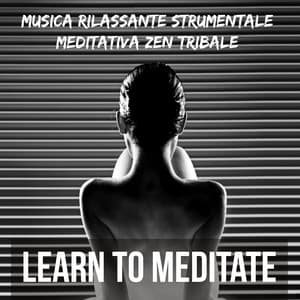 Learn to Meditate - Musica dalla Natura Rilassante Strumentale Meditativa Zen Tribale per Dormire e per una Profonda Concentrazione - Native American Indian Meditation