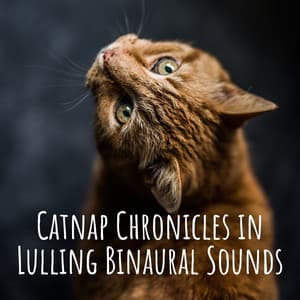 Catnap Chronicles in Lulling Binaural Sounds - The Entrainment