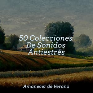 50 Colecciones De Sonidos Antiestrés - Música Relajante para Bebés