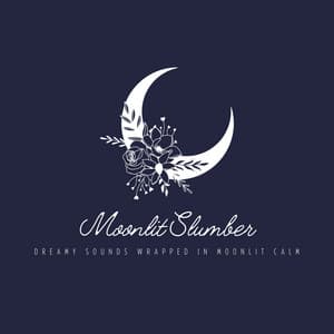 Moonlit Slumber - Dreamy Sounds Wrapped in Moonlit Calm - Relax α Wave