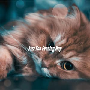 Jazz Foe Evening Nap - Musica para Hoteles Ambiente