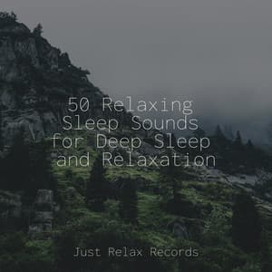 50 Relaxing Sleep Sounds for Deep Sleep and Relaxation - Mantra para Dormir