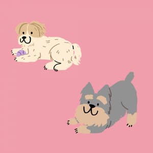 Cool Jazz Violin - Background for Relaxing with The Puppy - Relax My Puppy