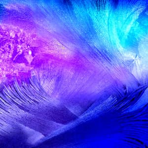 Essentials - Lofi Nation