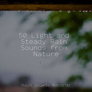 50 Light and Steady Rain Sounds from Nature - Brain Study Music Guys