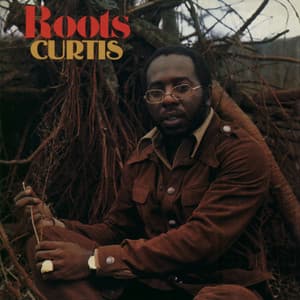Roots - Curtis Mayfield