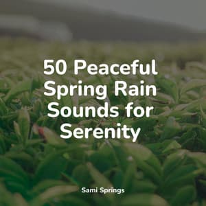 50 Peaceful Spring Rain Sounds for Serenity - Healing Sounds for Deep Sleep and Relaxation