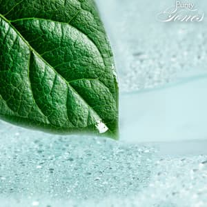 Just Pure Tones - Nature's Frequencies