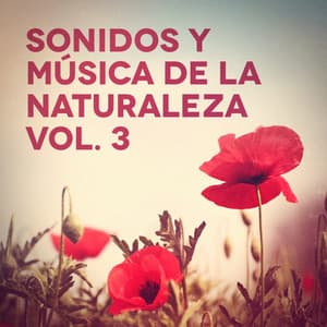 Sonidos y Música de la Naturaleza, Vol. 3 - Sonidos de la Naturaleza Relax