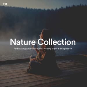 #01 Nature Collection for Relaxing Ambient Sounds, Healing Vibes & Imagination - The Nature Soundscapes