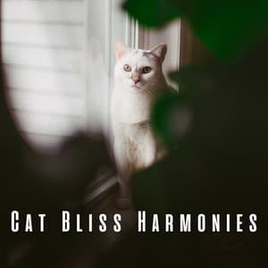 Cat Bliss Harmonies: Serenading Chill Music - Ambient Music Bliss