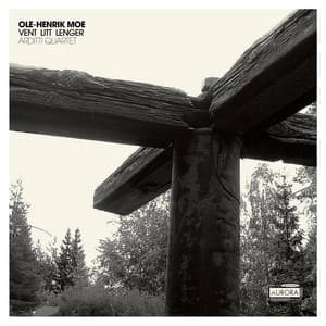 Vent Litt Lenger - Ole Henrik Moe