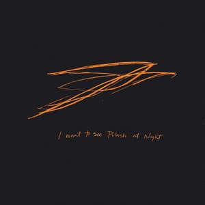 I Want to See Pulaski at Night - Andrew Bird