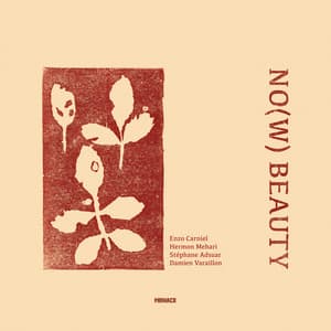 NO Beauty - Enzo Carniel
